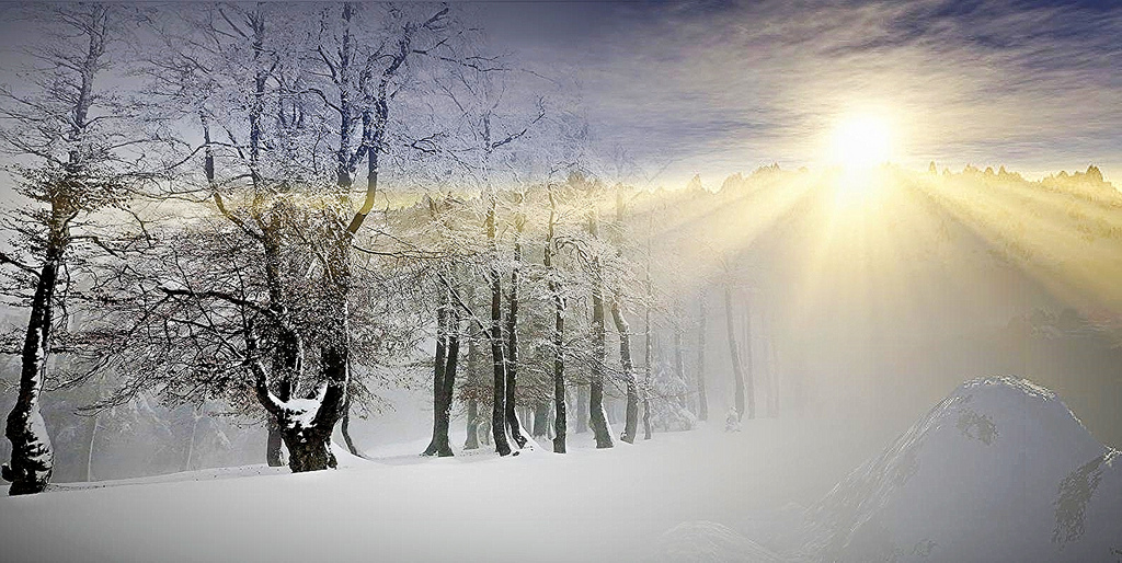 sun shining into winter landscape with trees